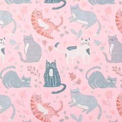 Gatos chistosos rosas