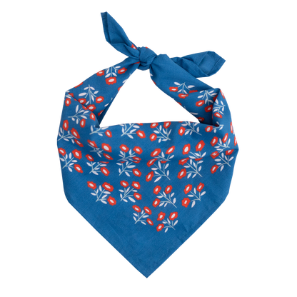 product_media/handker-bandanas/juliet-bandana/juliet-bandana (3).png