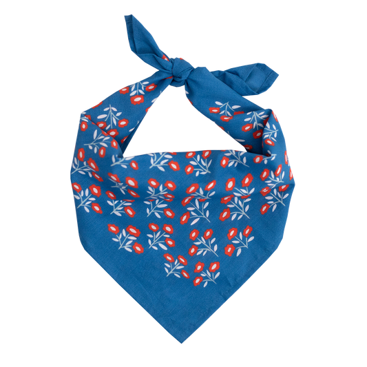 product_media/handker-bandanas/juliet-bandana/juliet-bandana (3).png